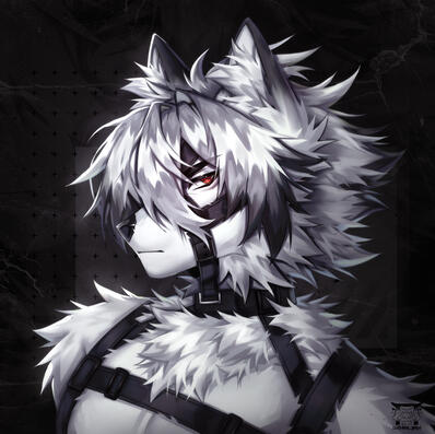 full shaded full shaded